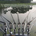 조황조행기 > 모바일간편조행 > 경산자인짬낚