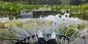 조황조행기 > 모바일간편조행 > 경산5짜터!! 자인. 조황조행기 > 모바일간편조행 > 경산5짜터!!  자인.