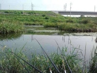 조황조행기 > 모바일간편조행 > 경산 오목천