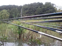 조황조행기 > 모바일간편조행 > 노산지 낚시중...