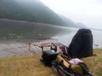 조황조행기 > 모바일간편조행 > 경북.