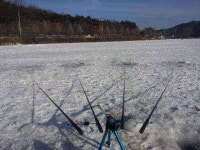 조황조행기 > 모바일간편조행 > 구룡지2탄