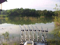 조황조행기 > 모바일간편조행 > 영주성곡지~