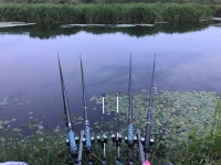 조황조행기 > 모바일간편조행 > 경산 오목천~*