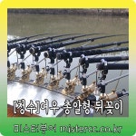 낚시용품정보 > 쇼핑몰홍보 > ***청수레져 여우 총알형 헤드 / 호봉레져 파라솔 연결 조인트***