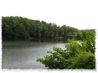 조황/조행기 > 회원 조황 > 경산, 후곡지 다녀 왔습니다...^^ 조황/조행기 > 회원 조황 > 경산, 