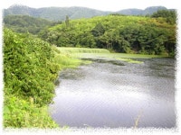 조황/조행기 > 회원 조황 > 경산, 후곡지 다녀 왔습니다...^^ 조황/조행기 > 회원 조황 > 경산, 