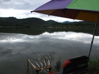 조황/조행기 > 회원 조황 > 풍각 청석지 다녀왔습니다.