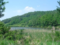 조황/조행기 > 작품 조행기 > 송사리 낚여행 (자인 속골지 편)