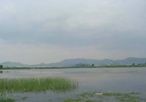 조황/조행기 > 작품 조행기 > 송사리 낚여행(경산 백양지 조행)