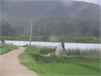 +++ 臾쇱궗의 대물낚시 업그레이드 +++