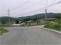 +++ 臾쇱궗의 대물낚시 업그레이드 +++