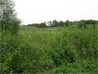 +++ 臾쇱궗의 대물낚시 업그레이드 +++