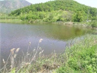 +++ 臾쇱궗의 대물낚시 업그레이드 +++