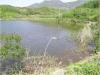 +++ 臾쇱궗의 대물낚시 업그레이드 +++