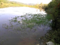 +++ 臾쇱궗의 대물낚시 업그레이드 +++