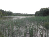 +++ 臾쇱궗의 대물낚시 업그레이드 +++