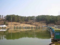 유료터정보 > 유료터 홍보 > 그래서 나는 또 띄밭에 간다