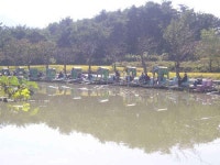 유료터정보 > 유료터 홍보 > [제12회]경북 청도 용강지 낚시대회 및 이벤트 실시 (10월30일:일요일)