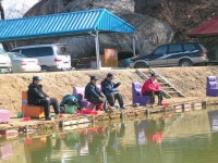 유료터정보 > 유료터조행기 > [re] 영주 용암낚시터 답사