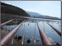 조황/조행기 > 작품 조행기 > 별빛사랑의 화보조행기 -내가 아는 한가지........