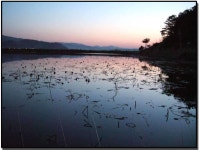 조황/조행기 > 작품 조행기 > 별빛사랑의 화보조행기 -내가 아는 한가지........