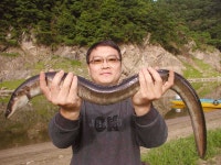 남한강낚시 통신원속보 >  [충주호] 장어낚시 대물조사 3인방 탄생....... : 낚시사랑