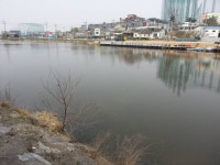 삼미낚시터 - 경기 오산시 삼미낚시터 - 경기 오산시 