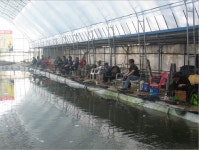 물반고기반낚시터 - 경북 문경시 물반고기반낚시터 - 경북 문경시 