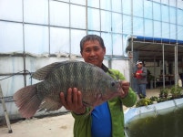 물반고기반낚시터 - 경북 문경시 물반고기반낚시터 - 경북 문경시 