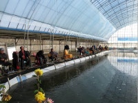 물반고기반낚시터 - 경북 문경시 물반고기반낚시터 - 경북 문경시 