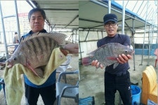 물반고기반낚시터 - 경북 문경시 물반고기반낚시터 - 경북 문경시 