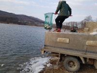 월랑낚시터 - 충남 아산시 월랑낚시터 - 충남 아산시 