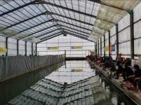 조치원낚시터 - 충남 연기군 조치원낚시터 - 충남 연기군 