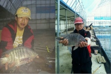 물반고기반낚시터 - 경북 문경시 물반고기반낚시터 - 경북 문경시 