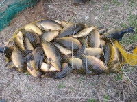 여주관광농원낚시터 - 경기 여주시 여주관광농원낚시터 - 경기 여주시 