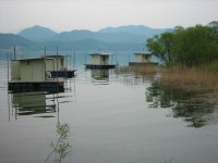 의암호 거북이낚시터 - 강원 춘천시 의암호 거북이낚시터 - 강원 춘천시 