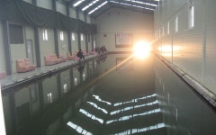 봉곡낚시터 - 경북 김천시 봉곡낚시터 - 경북 김천시 