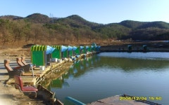 감문낚시터 - 대구 달성군 감문낚시터 - 대구 달성군 