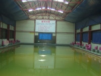 형곡낚시터 - 경북 구미시 형곡낚시터 - 경북 구미시 