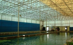 작은연못낚시터 - 경기 파주시 작은연못낚시터 - 경기 파주시 