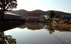 작은연못낚시터 - 경기 파주시 작은연못낚시터 - 경기 파주시 