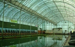 매일낚시터 - 경기 파주시 매일낚시터 - 경기 파주시 