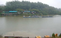 명인낚시터 - 경기 안성시 명인낚시터 - 경기 안성시 