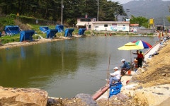 옥포낚시터 - 대구 달성군 옥포낚시터 - 대구 달성군 