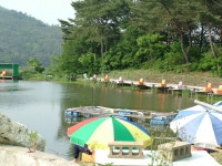 새마을낚시터 - 경북 경주시 새마을낚시터 - 경북 경주시 