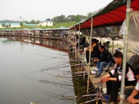 신휴우리낚시터 - 충남 아산시 신휴우리낚시터 - 충남 아산시 