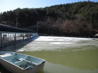 야동낚시터 - 경북 고령군 야동낚시터 - 경북 고령군 