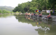 운수메기낚시터 - 경북 고령군 운수메기낚시터 - 경북 고령군 