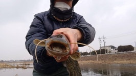 커뮤니티 > 자유게시판 > 메기 낚시 겨울에도 되나요?